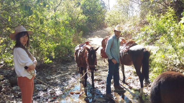 Ven a disfrutar de la naturaleza